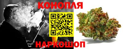 шишки Тулун