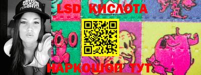 шишки Тулун