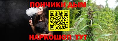 шишки Тулун