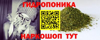 гашик Туймазы