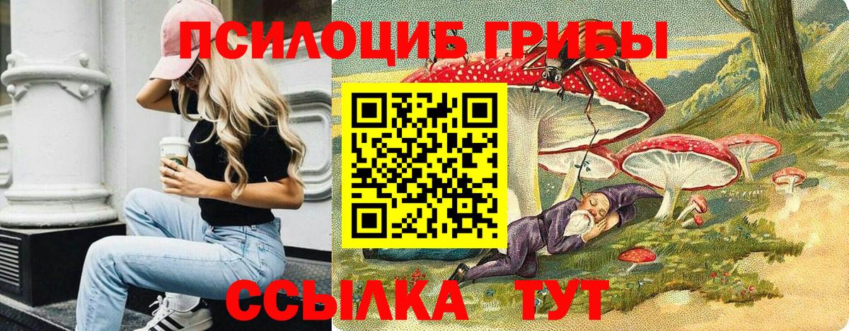 Новый Уренгой  Псилоцибиновые грибы MAGIC MUSHROOMS  Вход с VPN 