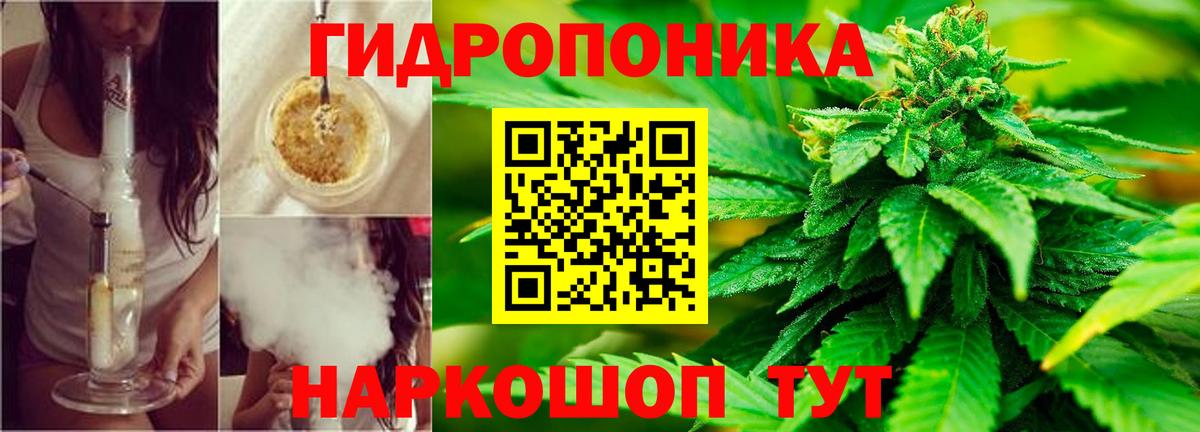 Конопля индика Новый Уренгой